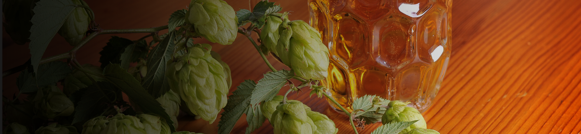 Come cambia il mercato globale della birra e del luppolo nel 2024