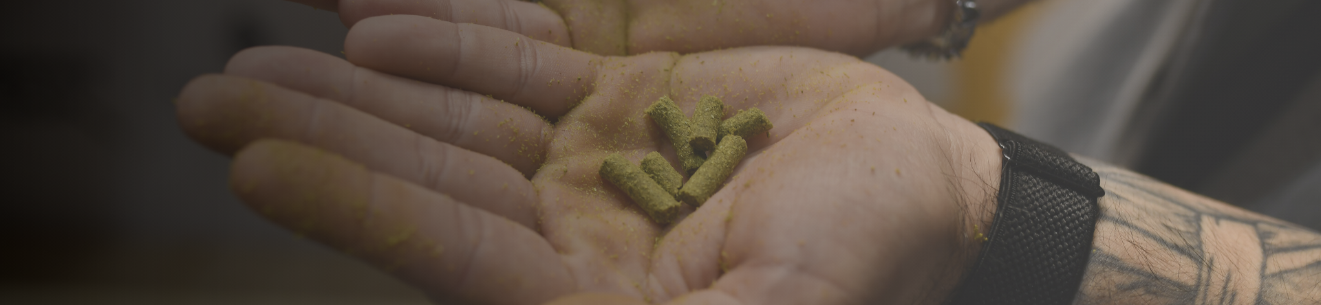 Liquid hops: innovation and challenges for tomorrow’s beer