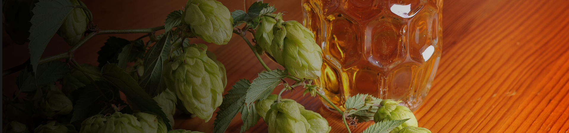 Come cambia il mercato globale della birra e del luppolo nel 2024 Come cambia il mercato globale della birra e del luppolo nel 2024