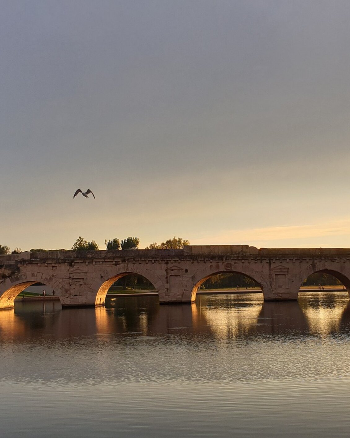 Città di Rimini