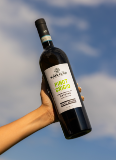 PINOT GRIGIO DOC DELLE VENEZIE